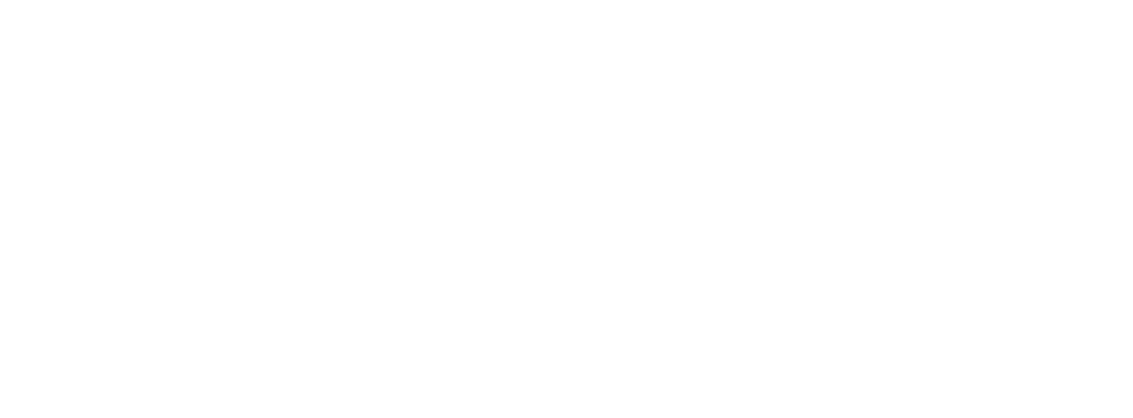 balady logo